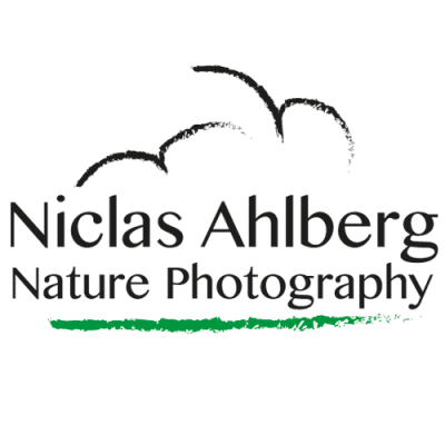Niclas Ahlberg Nature Photography